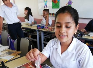Lecciones de la implementación de los Programas de Estudio de Matemática