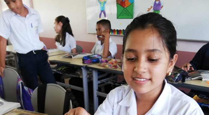 Lecciones de la implementación de los Programas de Estudio de Matemática