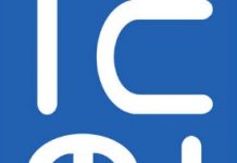 ICMI anuncia Medallas Klein, Freudenthal y Castelnuovo