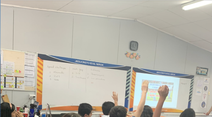 Aporte de los programas de estudio de matemática aprobados en 2012 para atender la diversidad del estudiantado