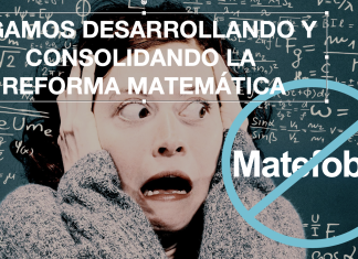 ¿Cuál ha sido la “idea fuerza” detrás de los Programas de Matemáticas?