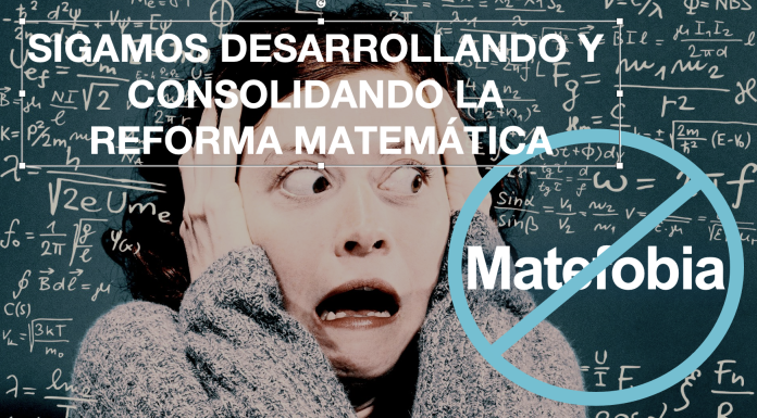 ¿Cuál ha sido la “idea fuerza” detrás de los Programas de Matemáticas?