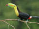Costa Rica en el IV CEMACYC de República Dominicana